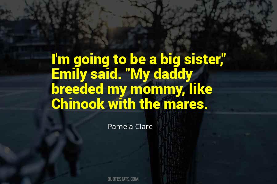 Quotes About My Big Sister #577700