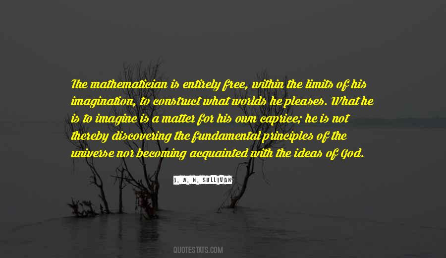 Quotes About Limits In Math #474394