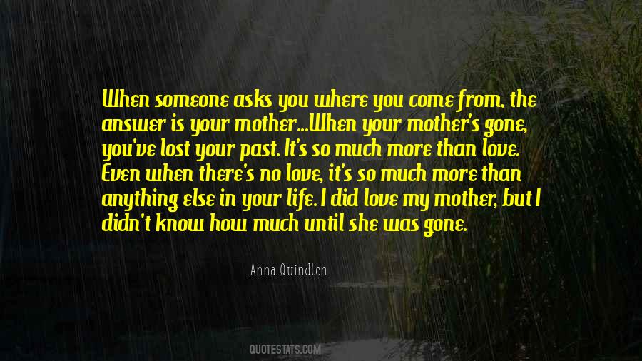 Quotes About Losing One's Mother #1342964