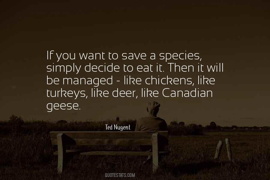Quotes About Turkeys #1174798