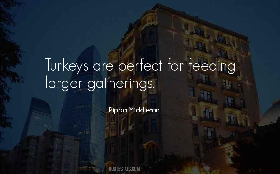 Quotes About Turkeys #1403400