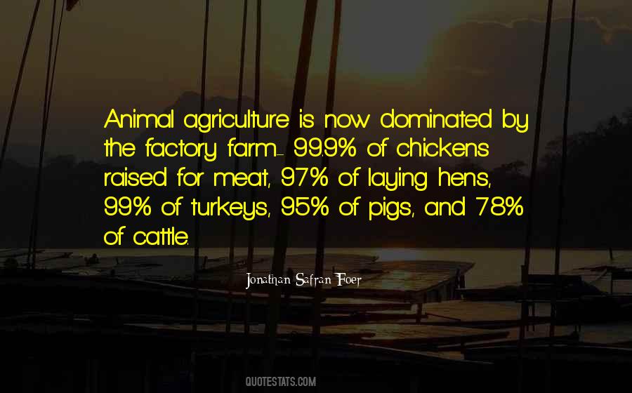 Quotes About Turkeys #156325