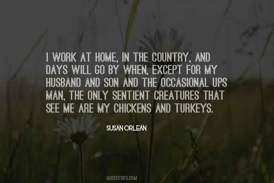 Quotes About Turkeys #1823510