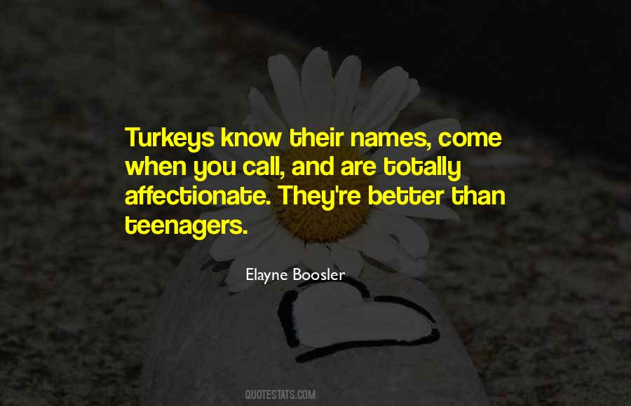 Quotes About Turkeys #482627