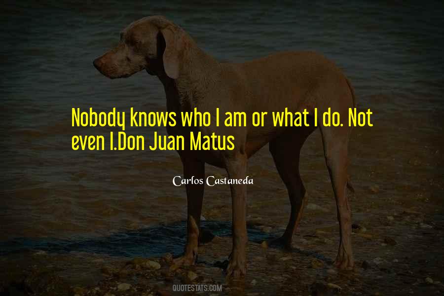 Don Juan Matus Quotes #353324