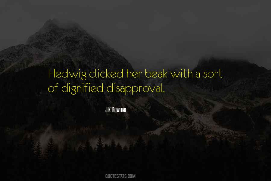 Quotes About Disapproval #653151