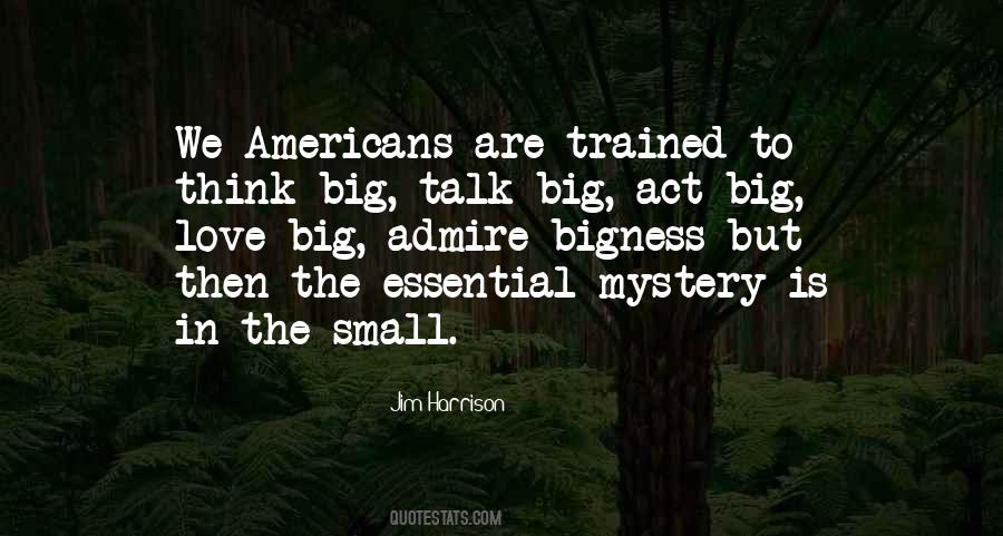 Love Big Quotes #315312