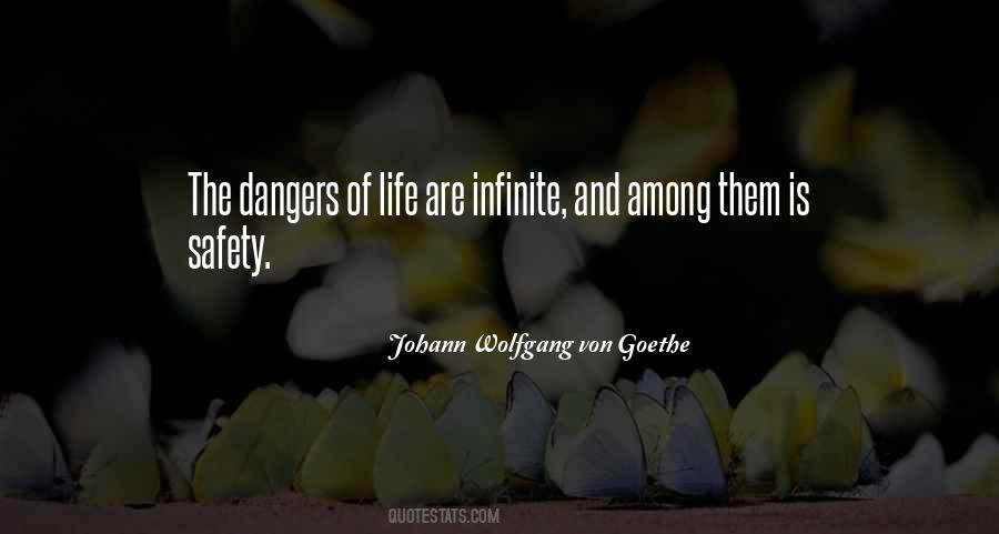 Quotes About Safety And Risk #855437