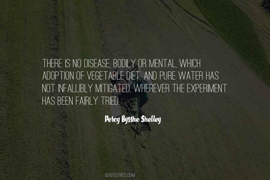 Quotes About No Diet #1400883