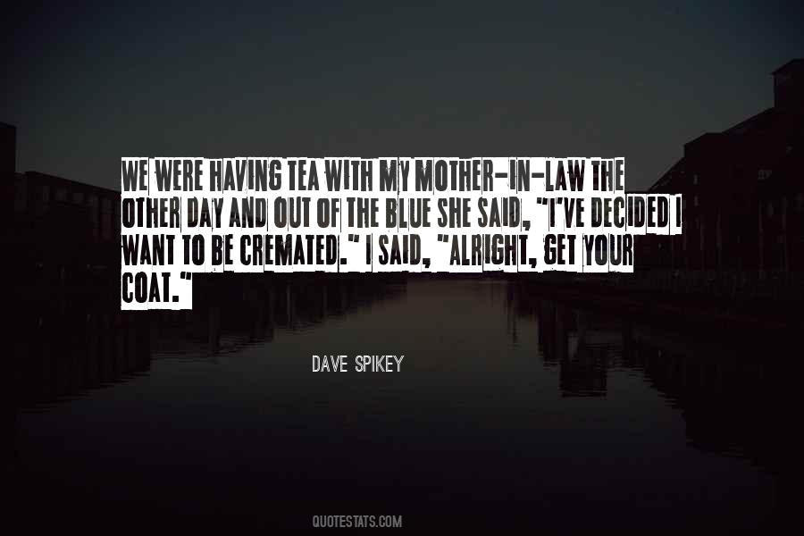 Quotes About Your Mother In Law #257409