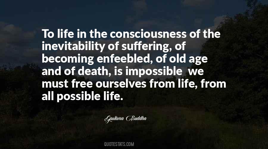 Quotes About The Inevitability Of Death #528033
