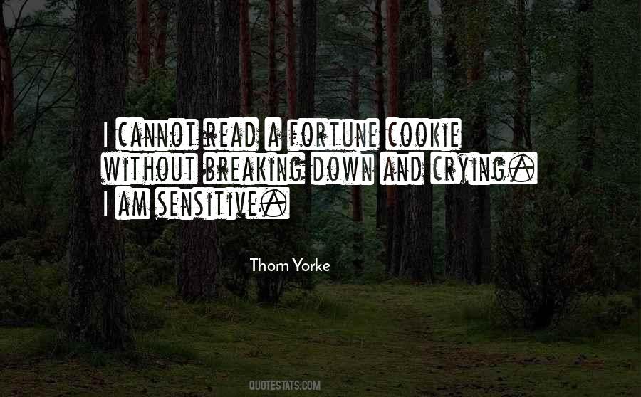 Quotes About Breaking Down #1675413