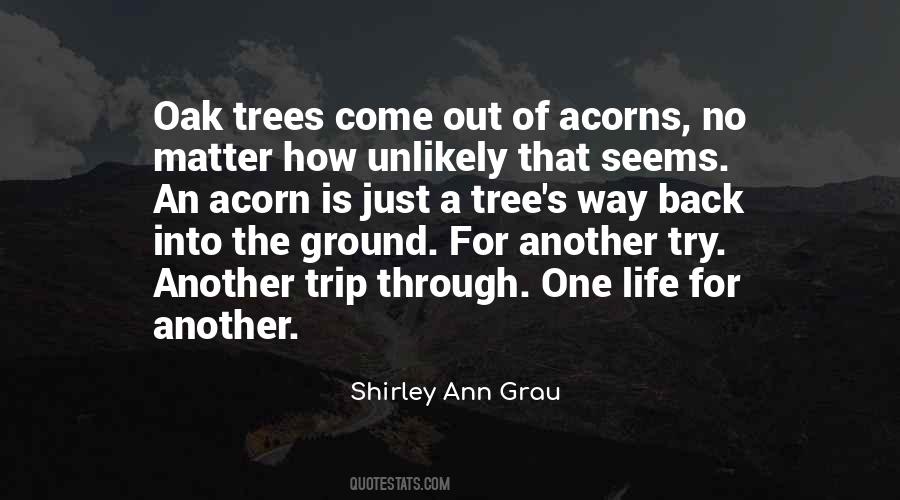 Quotes About Acorns #756160