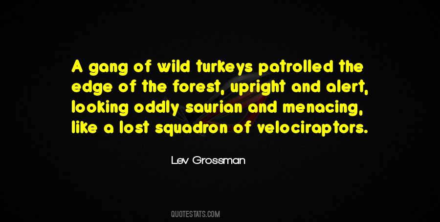 Quotes About Wild Turkeys #1736896
