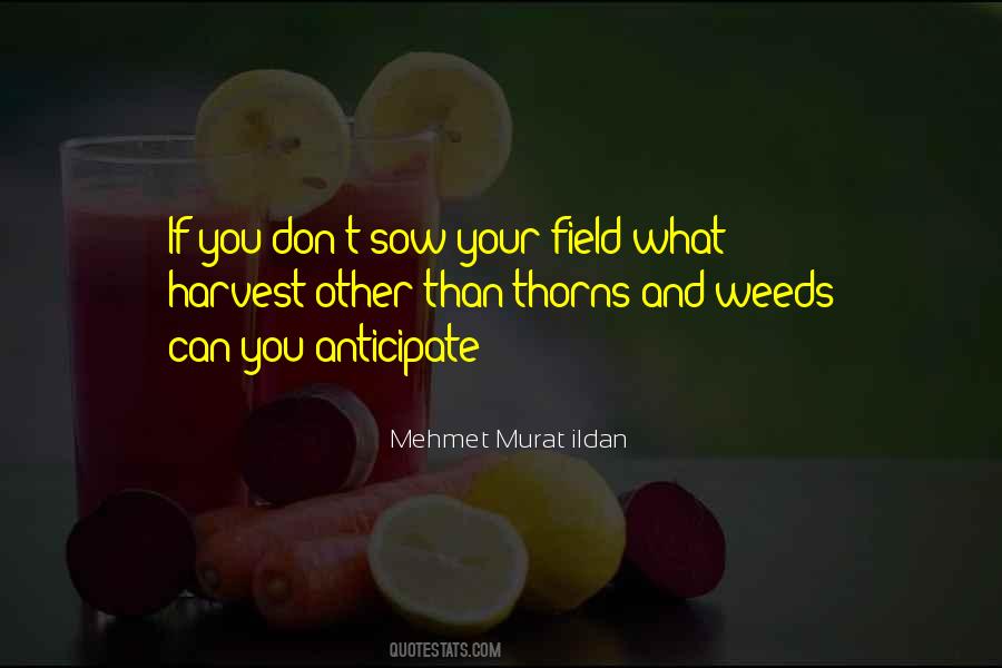 Quotes About Thorns #1083374