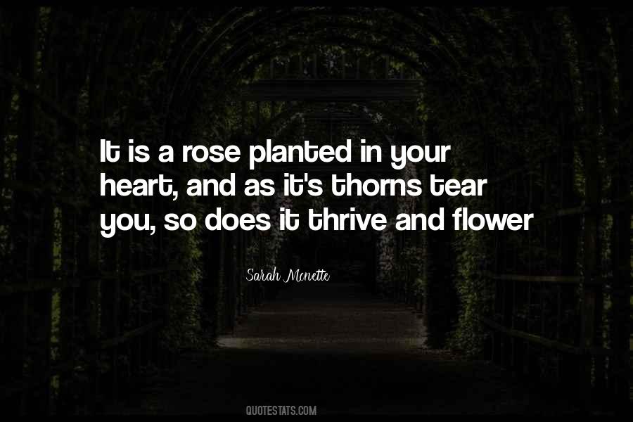 Quotes About Thorns #1305621