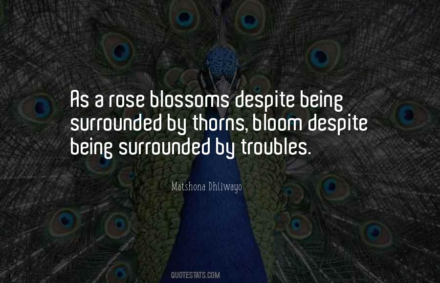 Quotes About Thorns #159363 Quotes About Thorns #159363