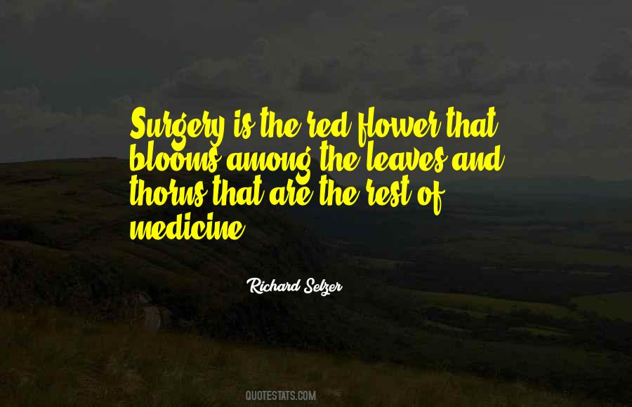 Quotes About Thorns #236212 Quotes About Thorns #236212