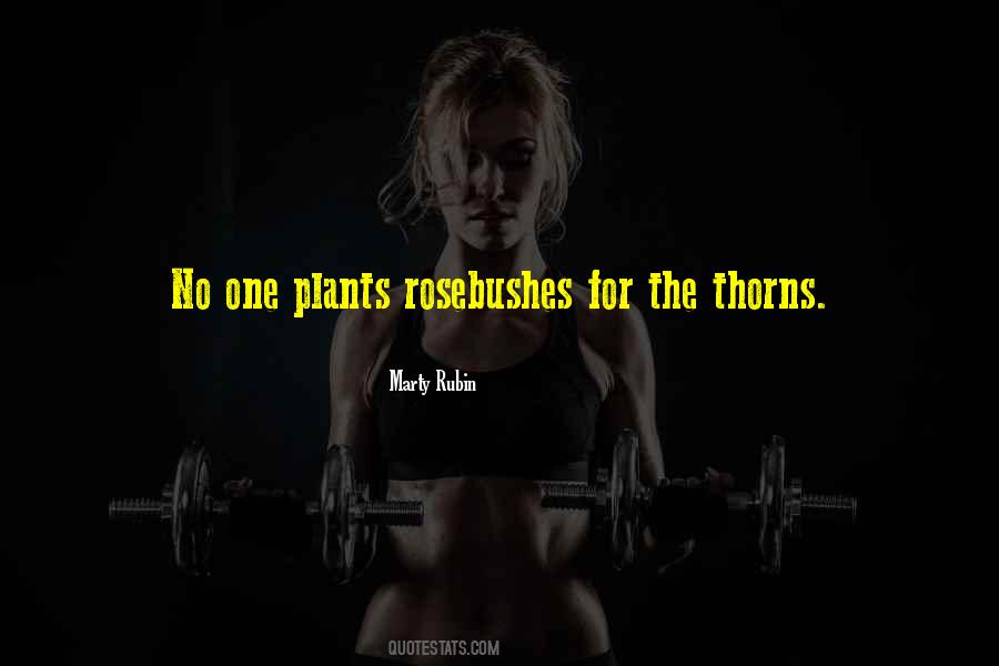 Quotes About Thorns #60128 Quotes About Thorns #60128