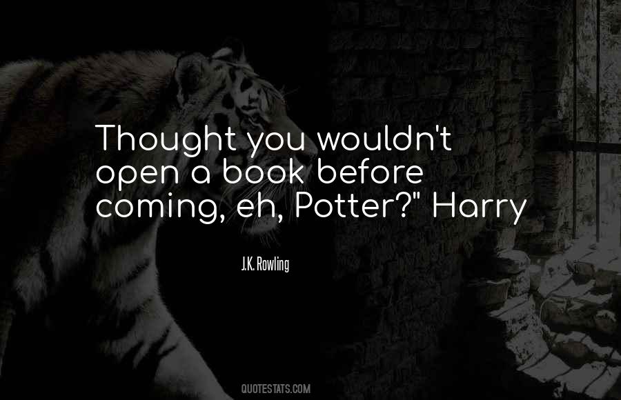Harry Potter Book Quotes #1625296