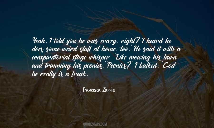 Quotes About Doing Crazy Stuff #99760