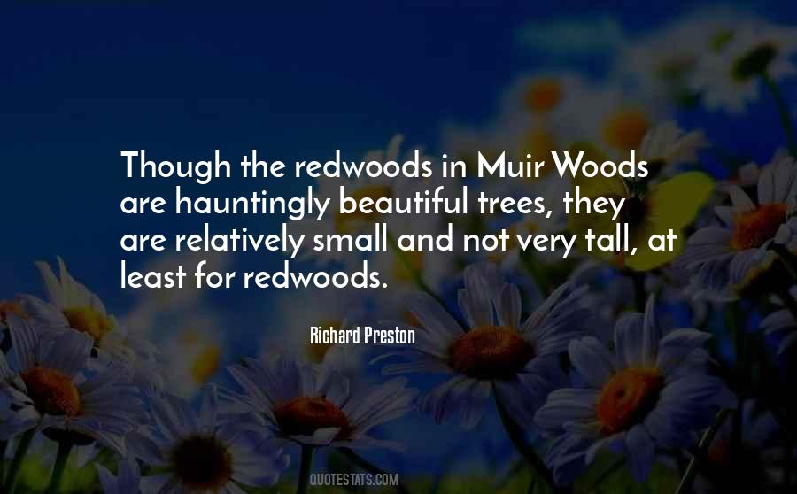 Quotes About Tall Trees #1129051