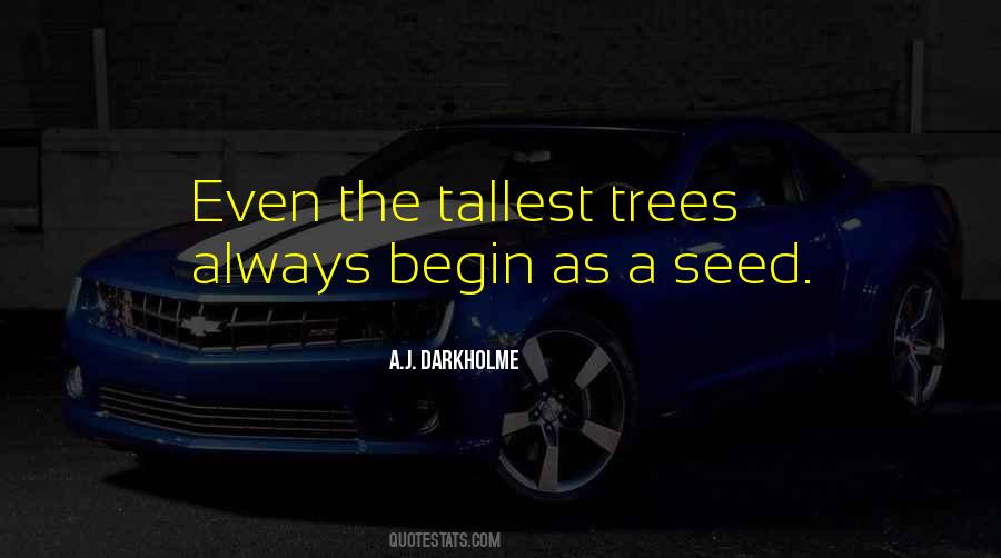 Quotes About Tall Trees #1336874