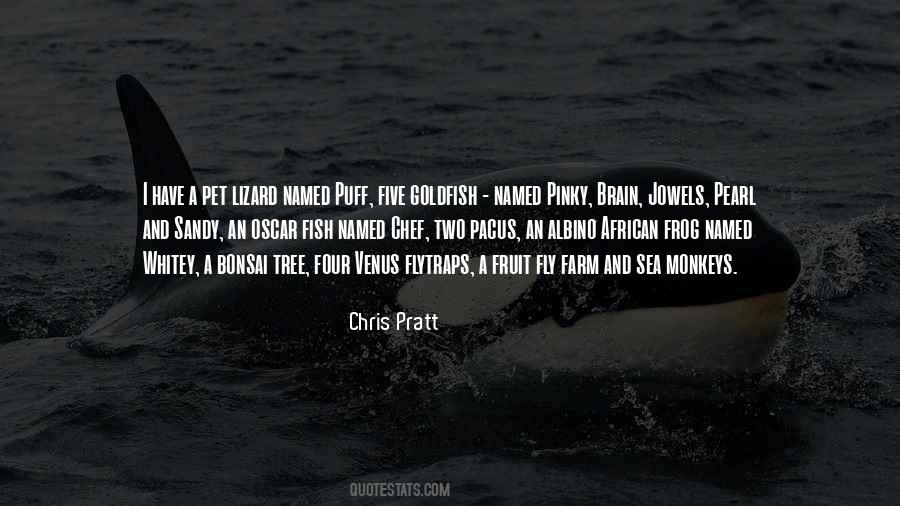 Quotes About Pet Fish #341935