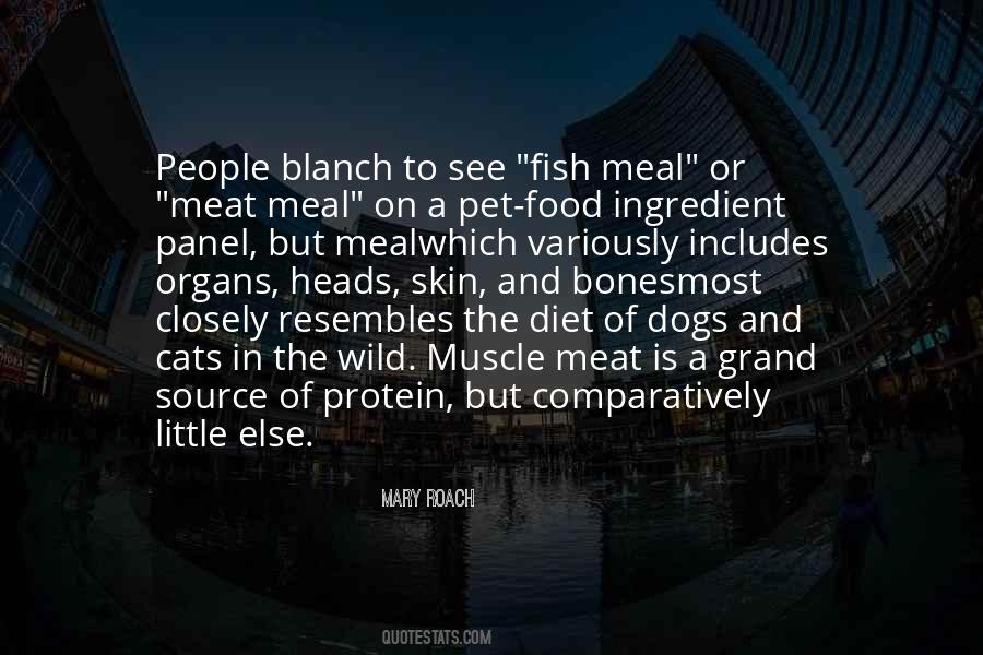 Quotes About Pet Fish #432185