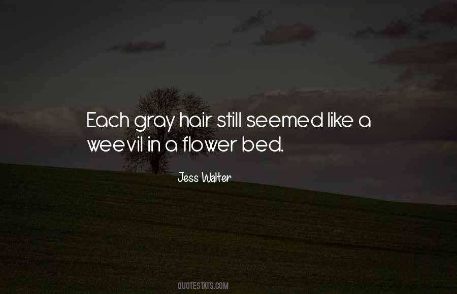 Quotes About Gray Hair #1017822