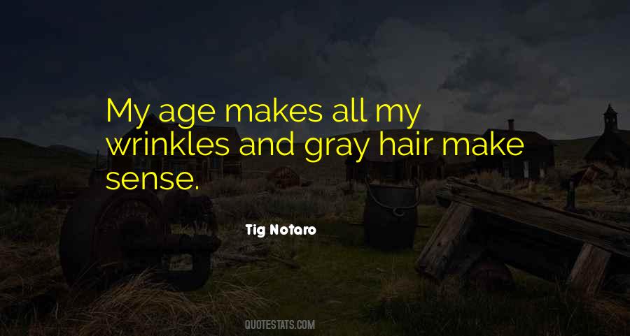 Quotes About Gray Hair #1412261