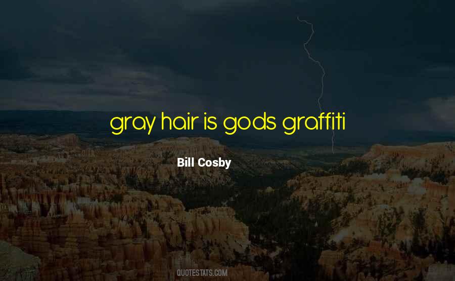 Quotes About Gray Hair #156045