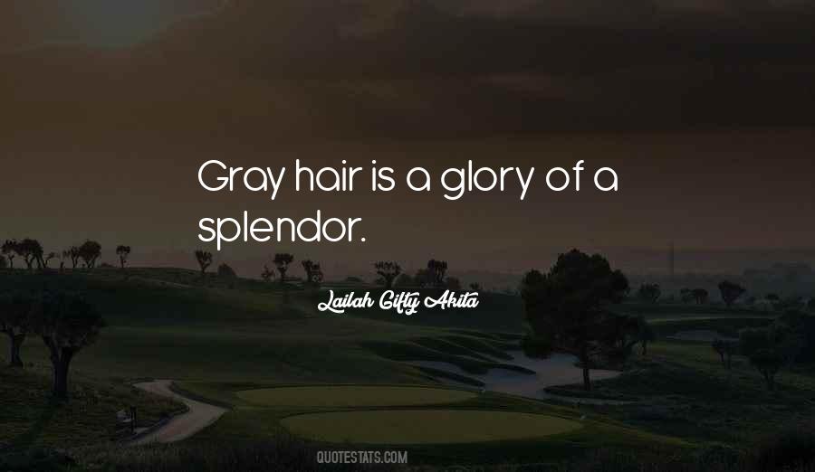 Quotes About Gray Hair #28282