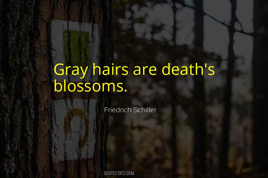 Quotes About Gray Hair #311953