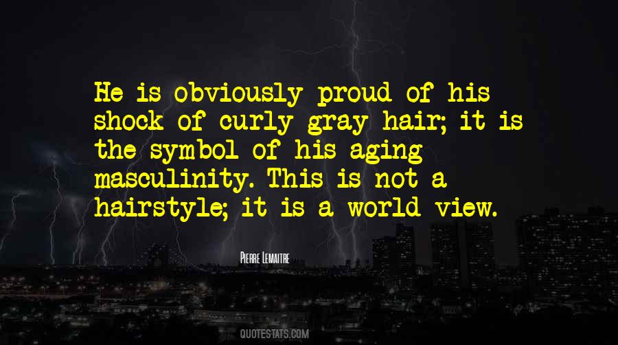 Quotes About Gray Hair #335255