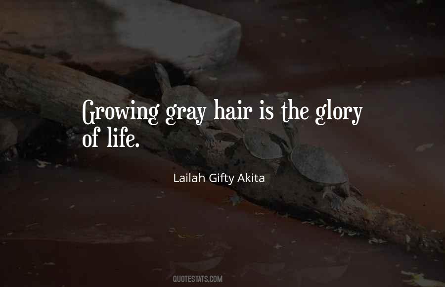 Quotes About Gray Hair #683282