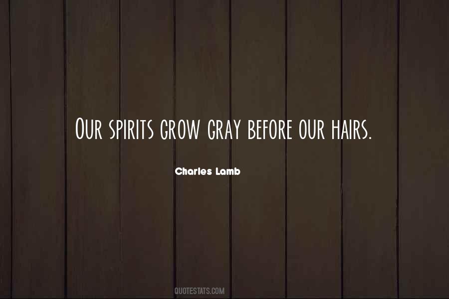 Quotes About Gray Hair #93628