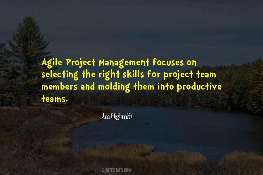 Quotes About Productive Teams #396680