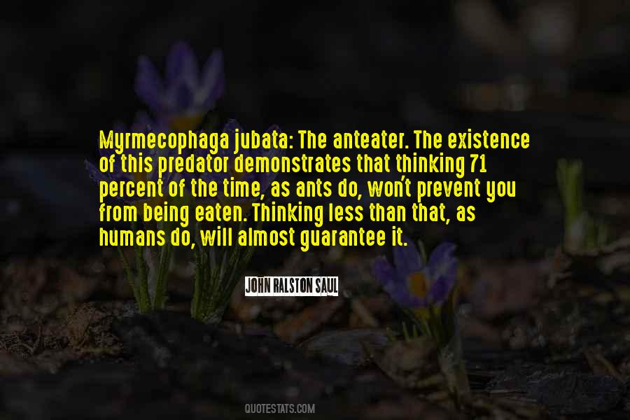 Myrmecophaga Jubata Quotes #1486611