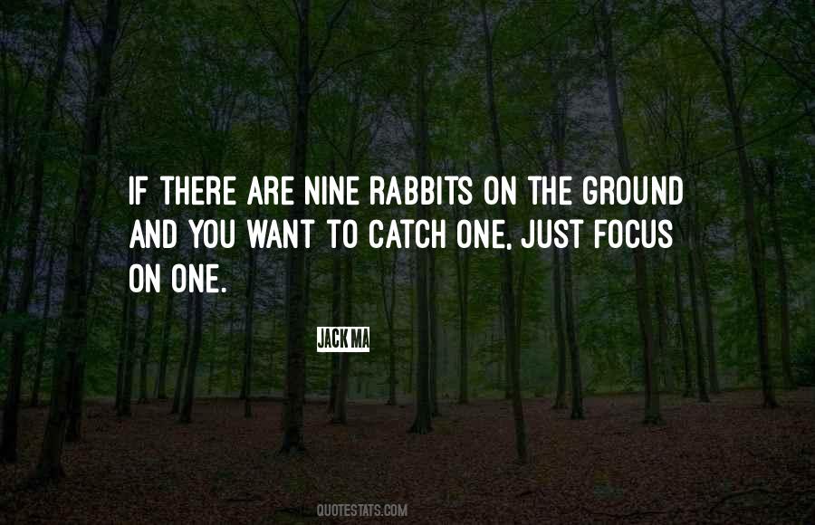 Quotes About Jack Rabbits #1492082