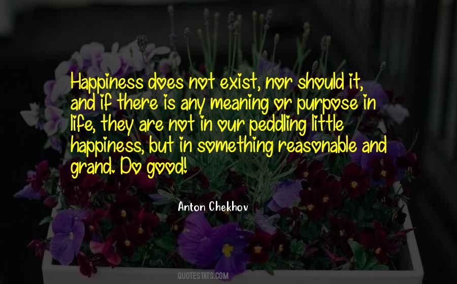 Purpose And Meaning Of Life Quotes #1106793