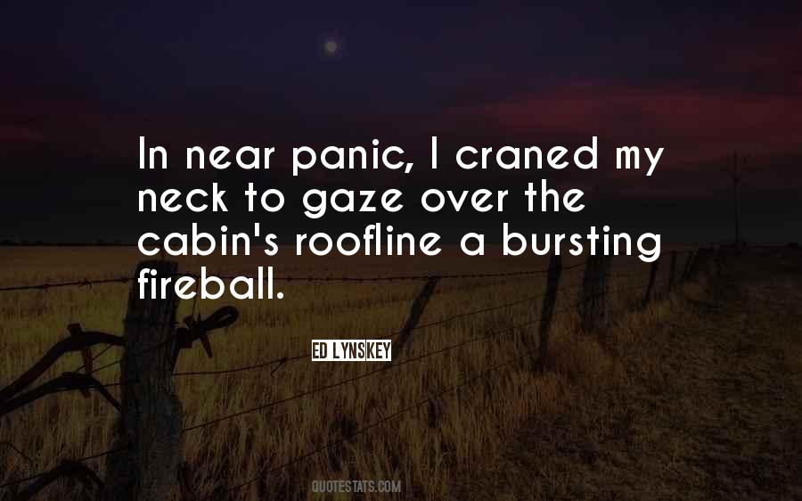 Quotes About Mystery Fiction #449705