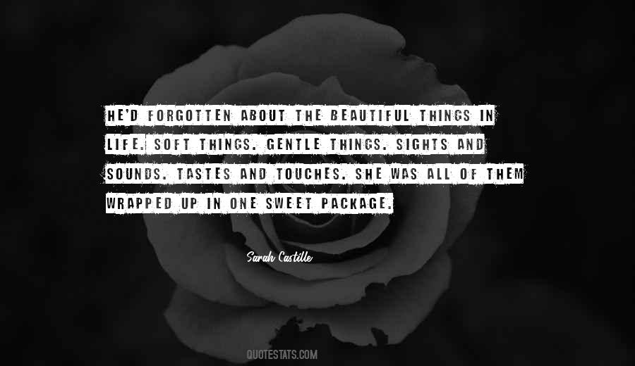 Quotes About Beautiful Things In Life #1801583