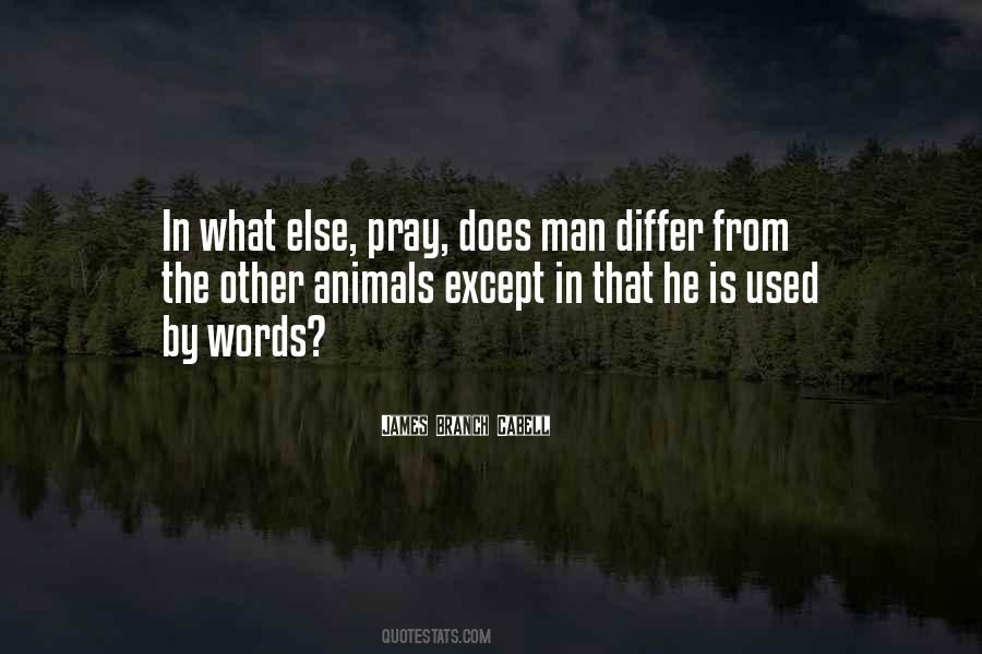 Tiffany Debartolo Quotes #1396693