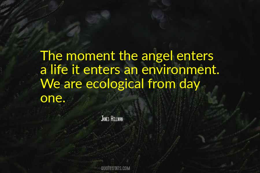 Ecological Environment Quotes #1037310