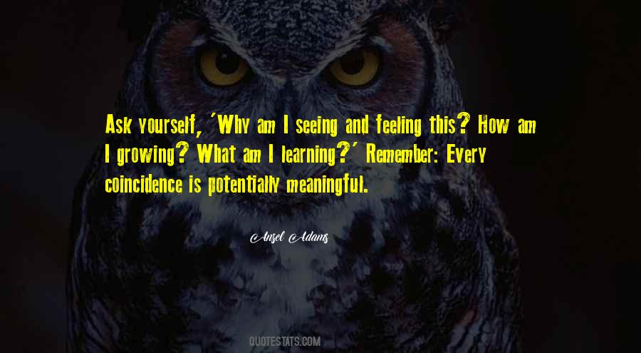 Quotes About Seeing Yourself #572614