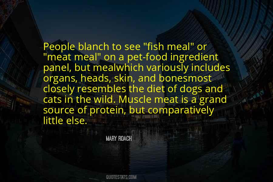 Quotes About Fish Food #432185