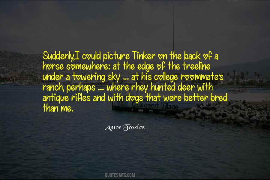 Quotes About Deer Dogs #1469705 Quotes About Deer Dogs #1469705