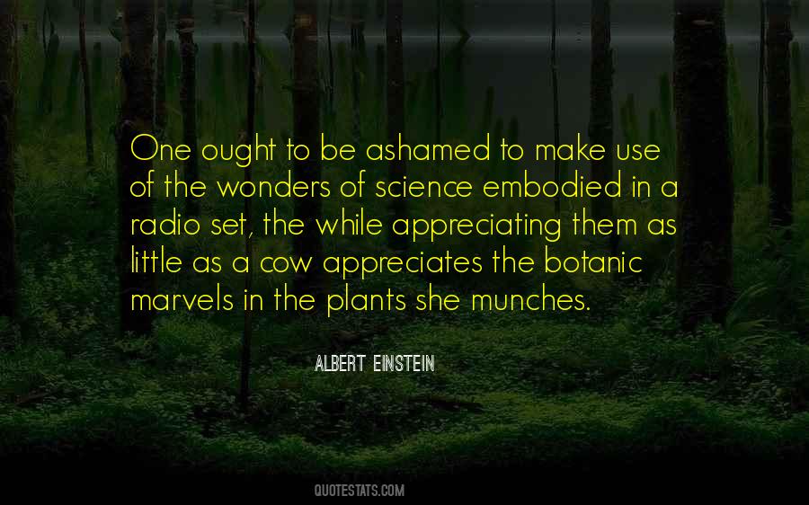 Quotes About Science Einstein #570848