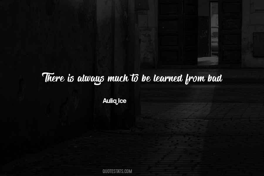Quotes About Learning From The Mistakes #1170056